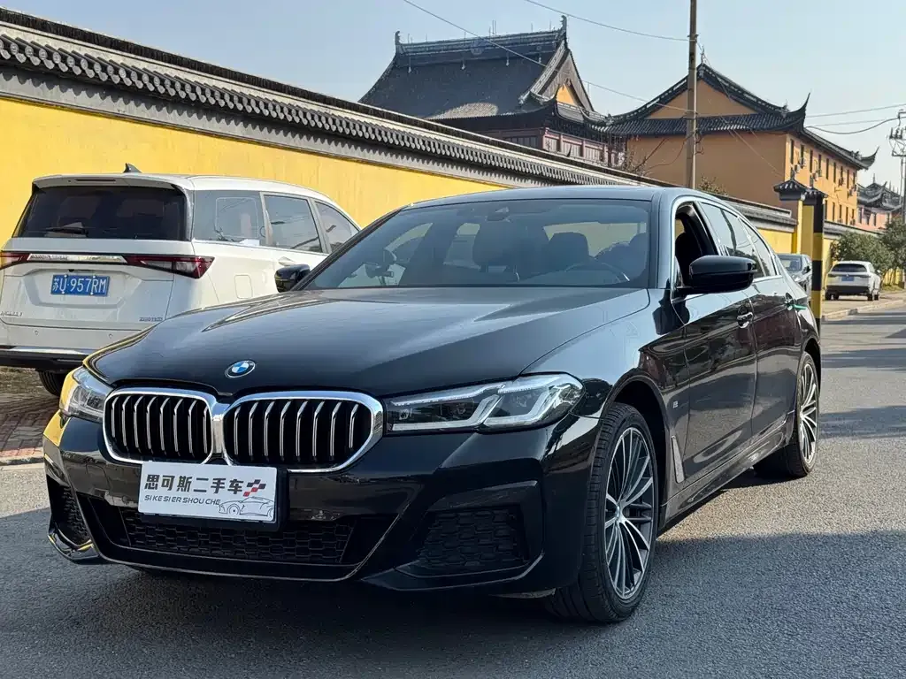 BMW 5 Series 2022 из CN, фото 1