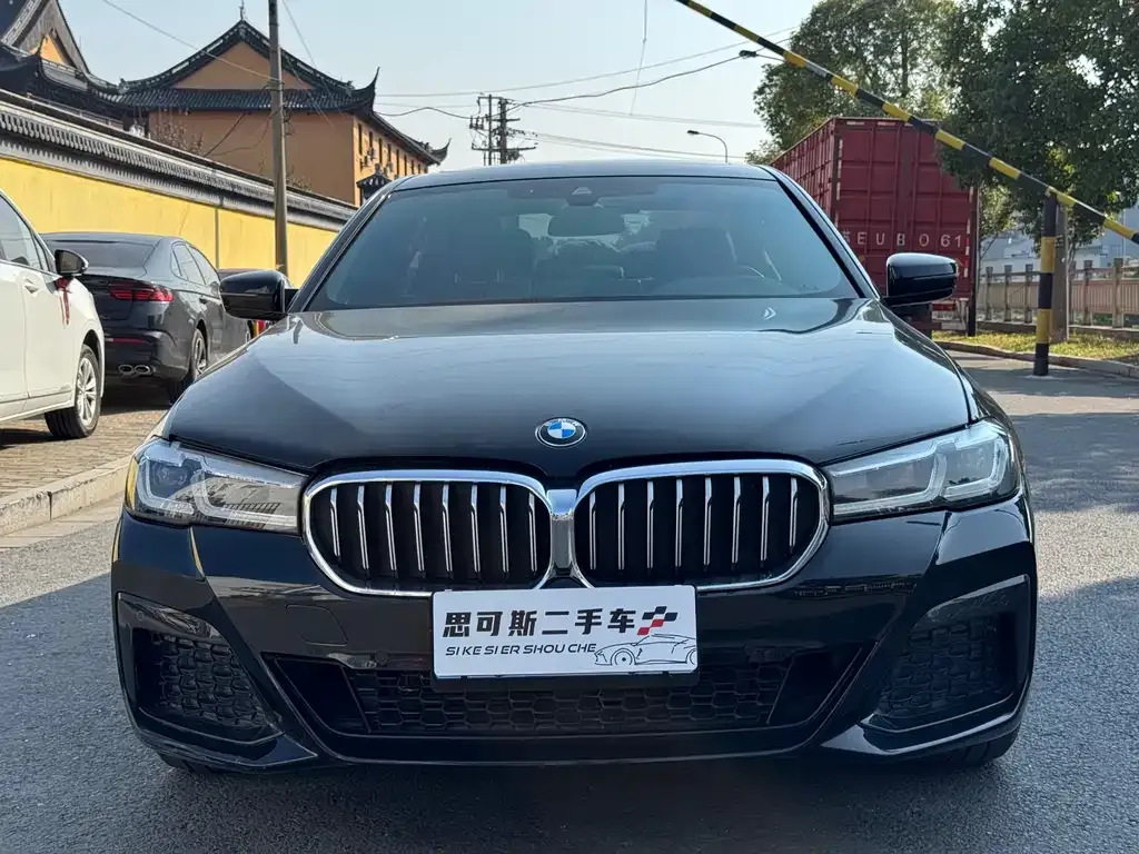 BMW 5 Series 2022 из CN, фото 2