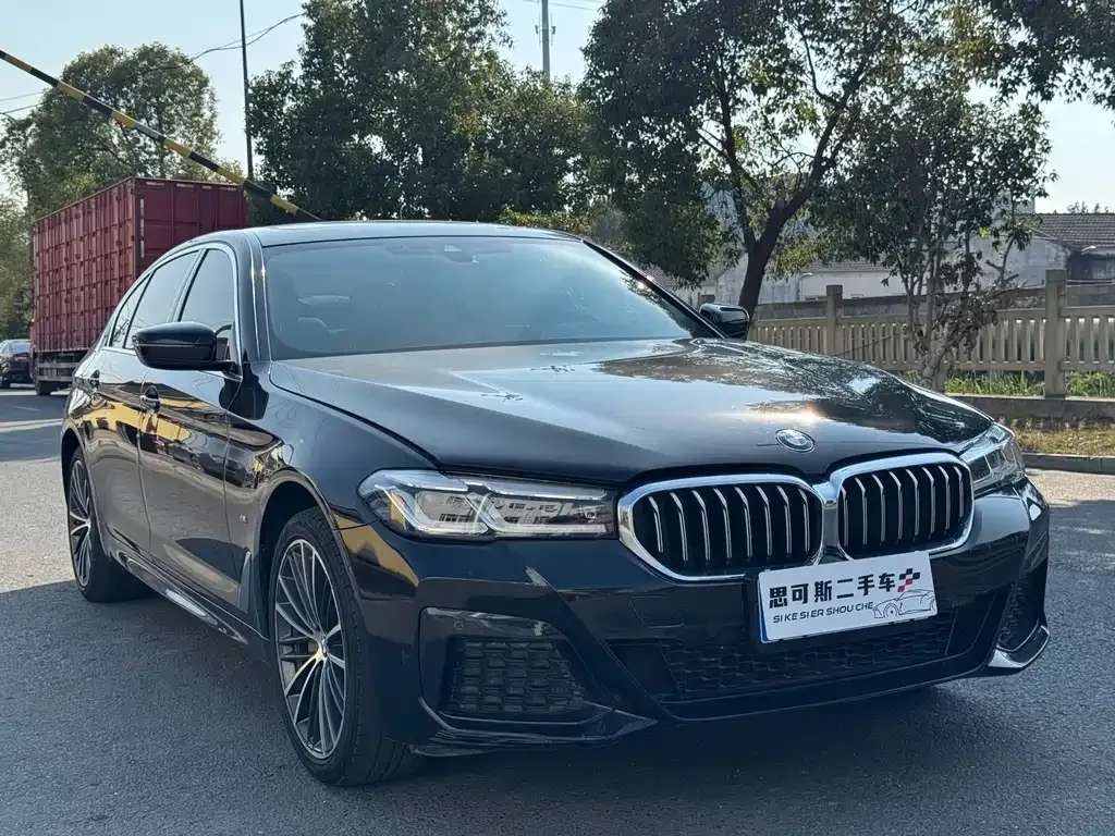 BMW 5 Series 2022 из CN, фото 3