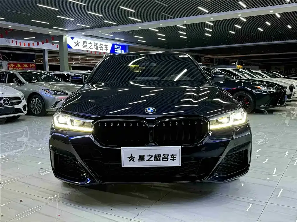 BMW 5 Series 2021 из CN, фото 2