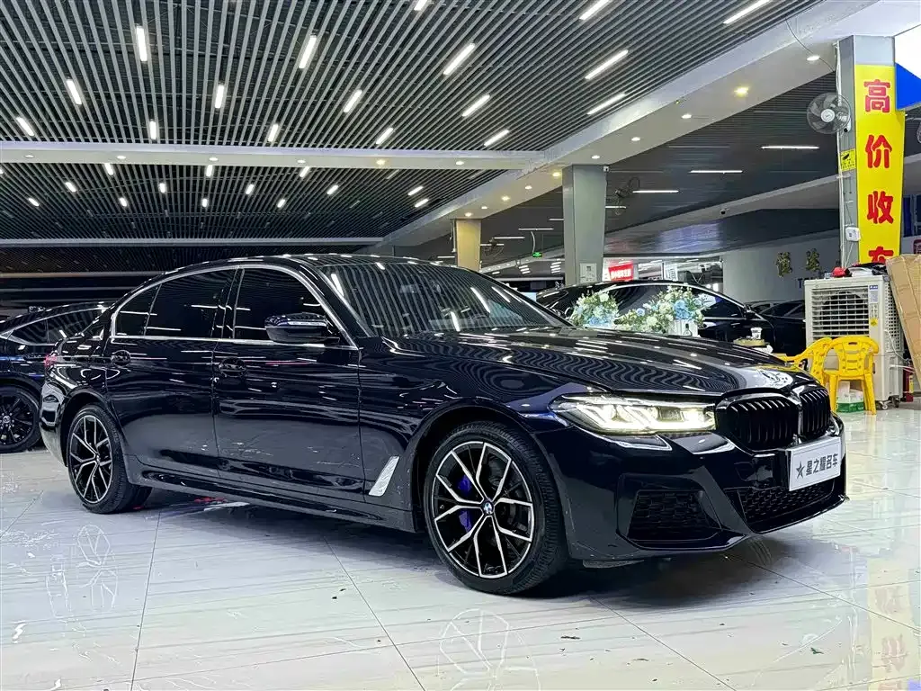 BMW 5 Series 2021 из CN, фото 3