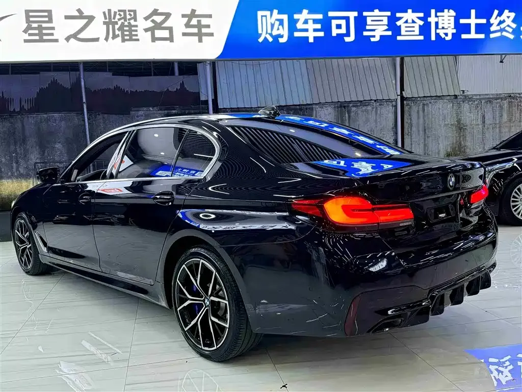 BMW 5 Series 2021 из CN, фото 6