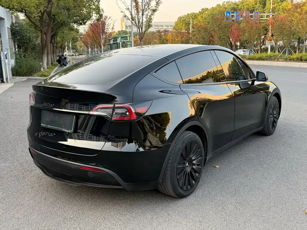 Tesla Model Y — фото 5
