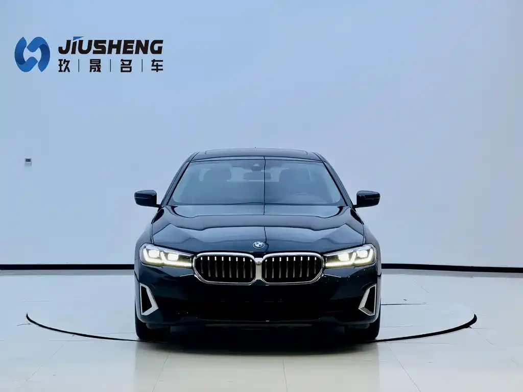 BMW 5 Series New Energy 2023 из CN, фото 2