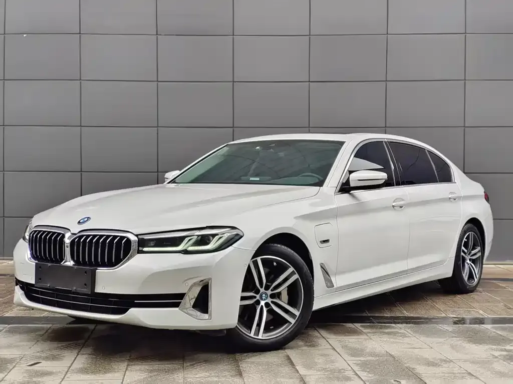 BMW 5 Series New Energy 2022 из CN, фото 1