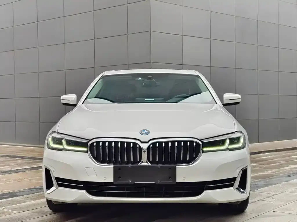 BMW 5 Series New Energy 2022 из CN, фото 2