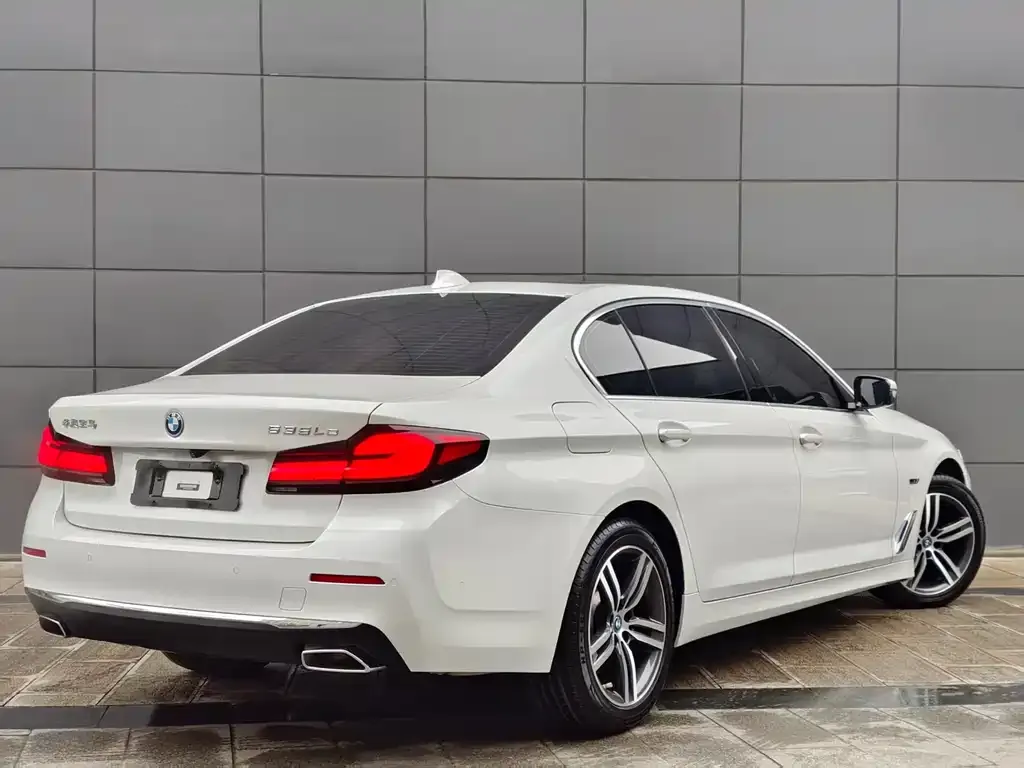 BMW 5 Series New Energy 2022 из CN, фото 3