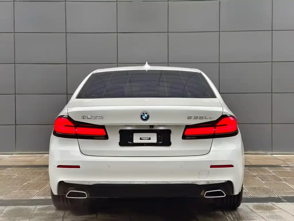 BMW 5 Series New Energy 2022 из CN, фото 4