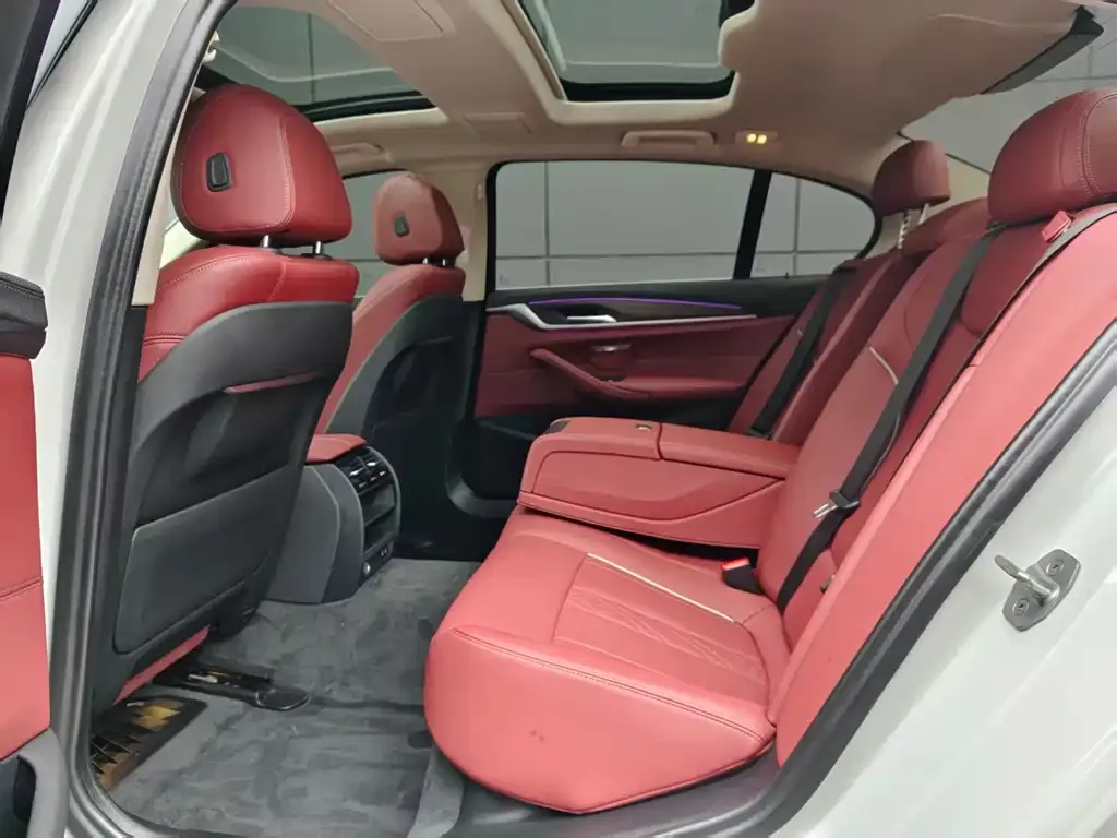 BMW 5 Series New Energy 2022 из CN, фото 8