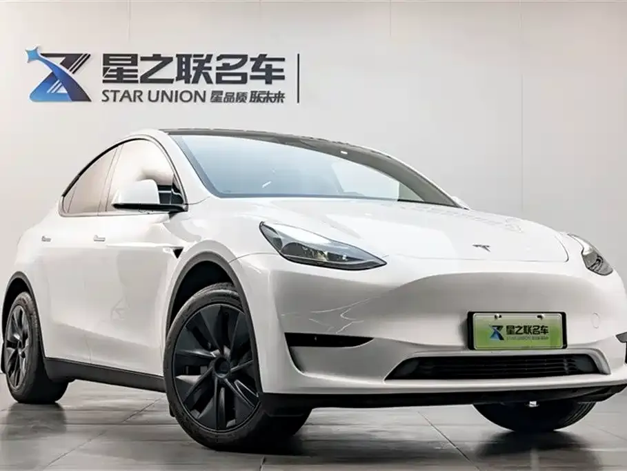 Tesla Model Y — фото 5