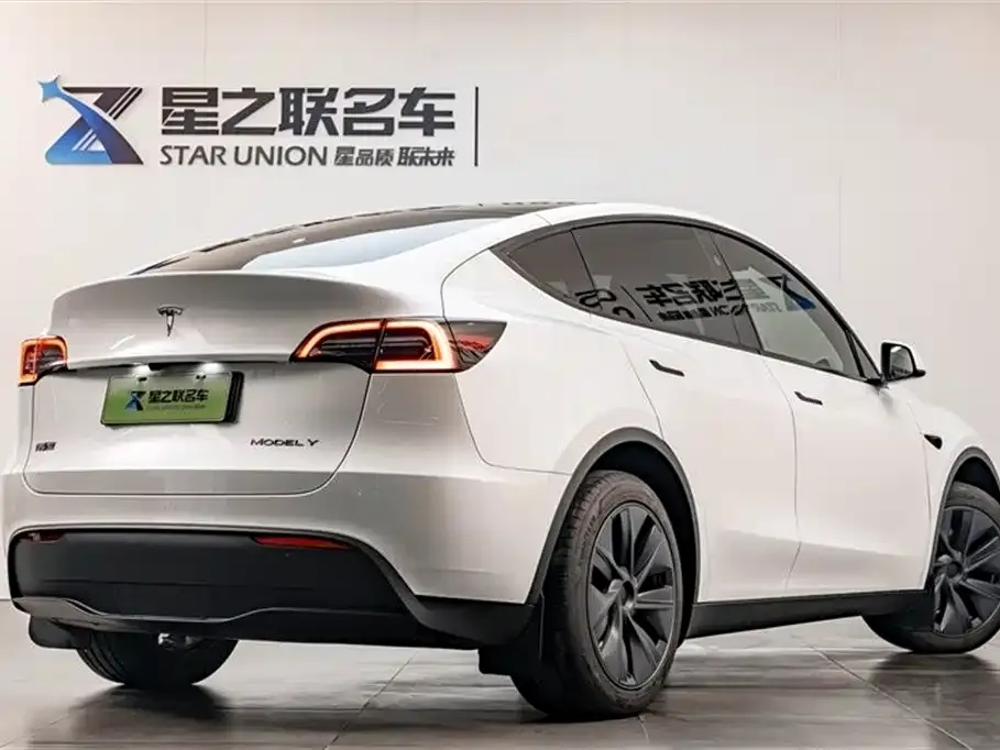 Tesla Model Y — фото 7