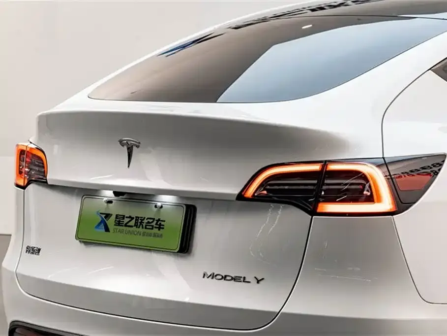 Tesla Model Y — фото 9