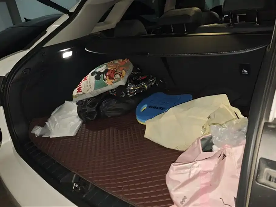 Lexus RX 2021 из CN, фото 4