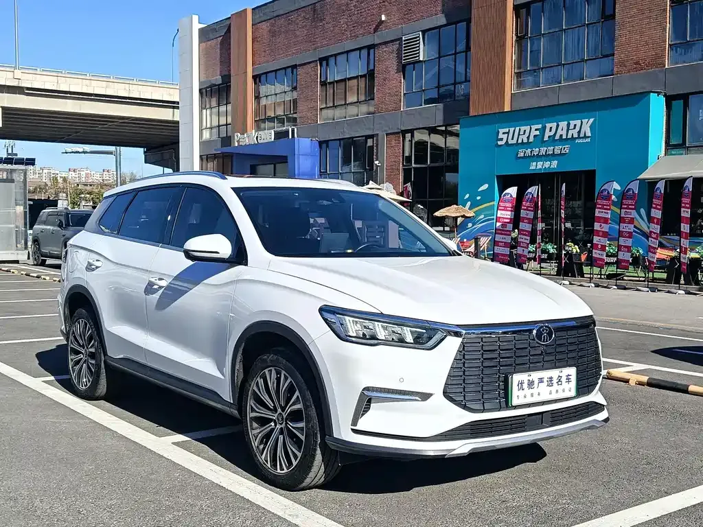 BYD Pro New Energy — фото 4