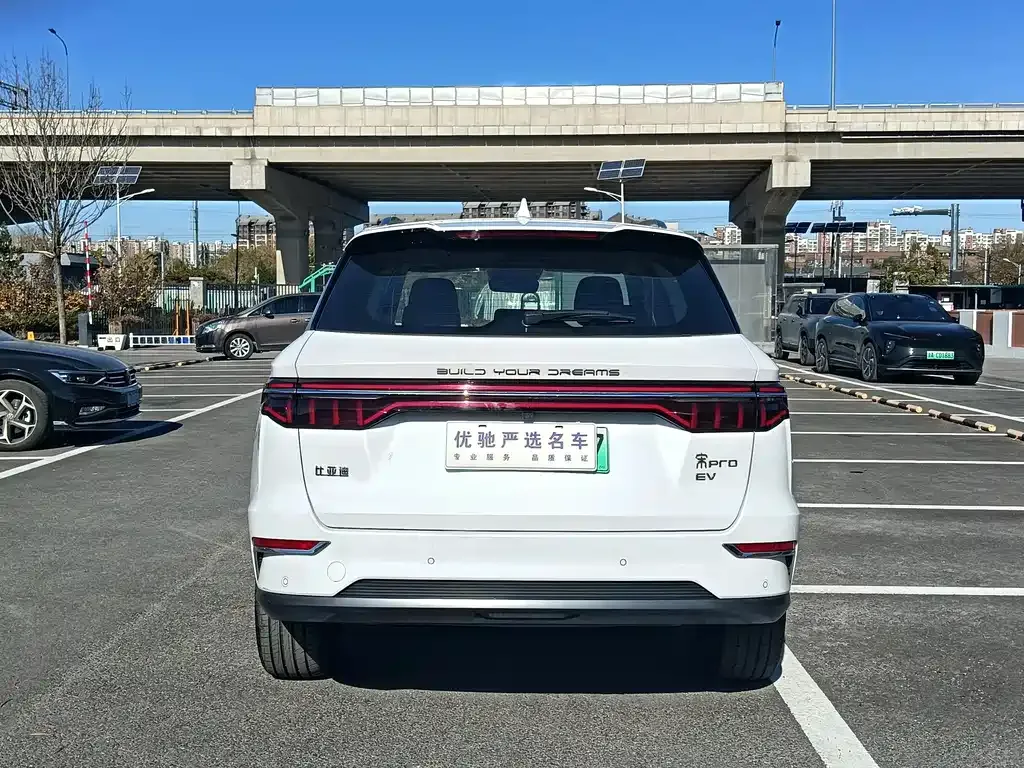 BYD Pro New Energy — фото 8