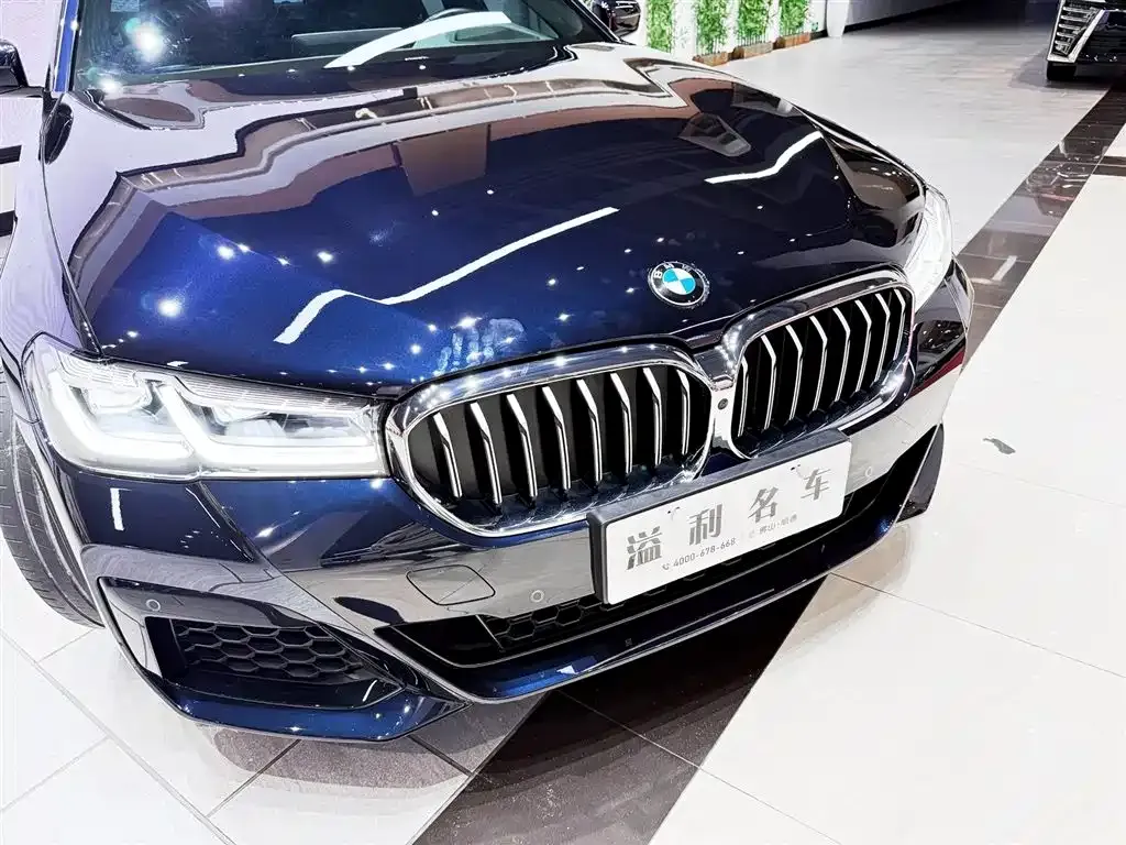 BMW 5 Series (Import) 2022 из CN, фото 9