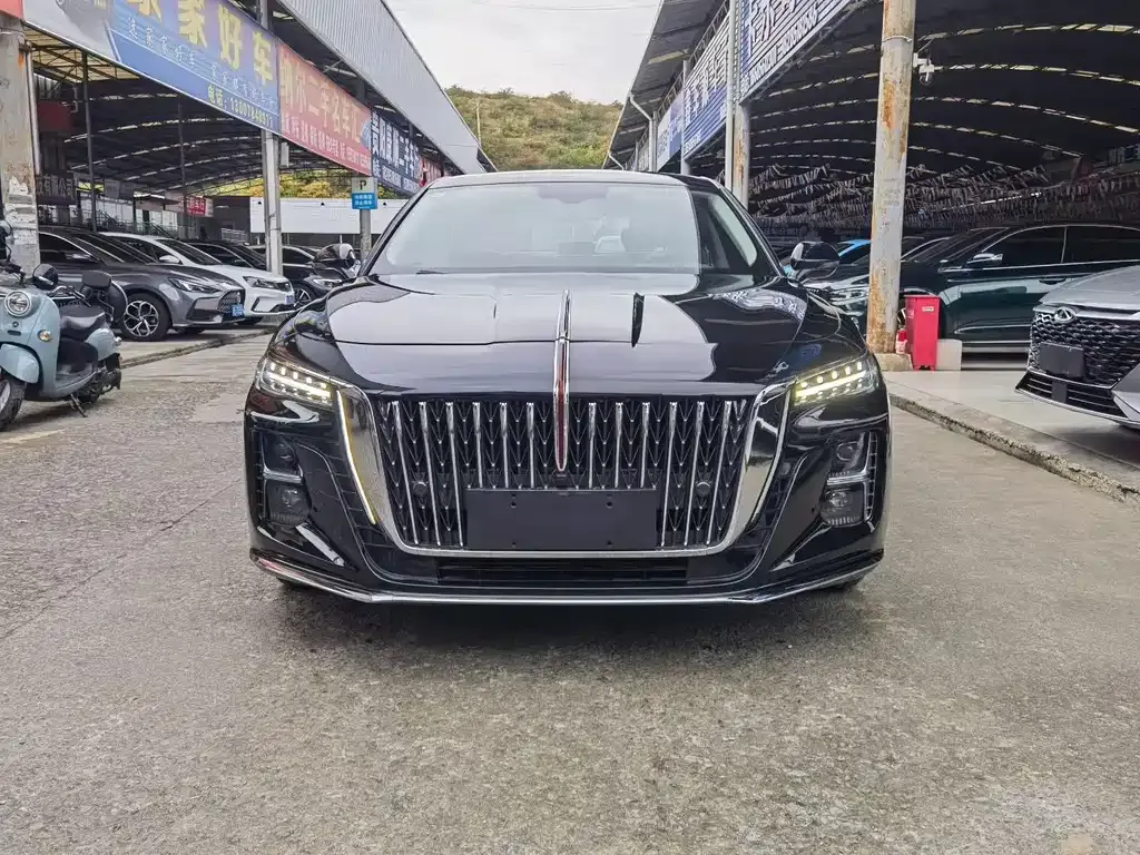 Hongqi H5 2023 из CN, фото 1