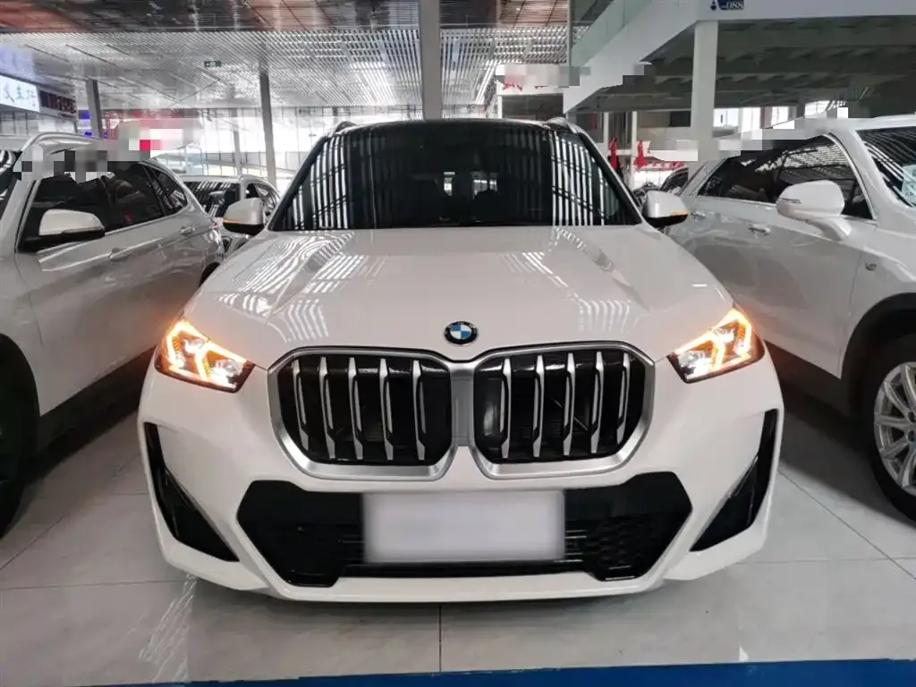 BMW X1 2023 из CN, фото 3
