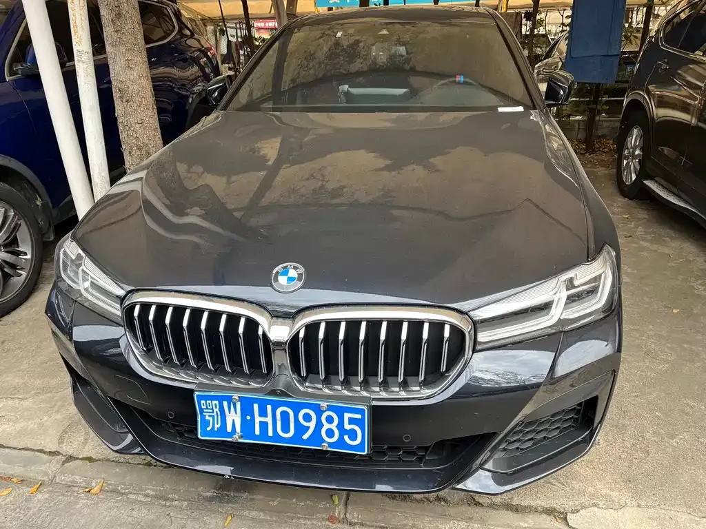 BMW 5 Series 2023 из CN, фото 2