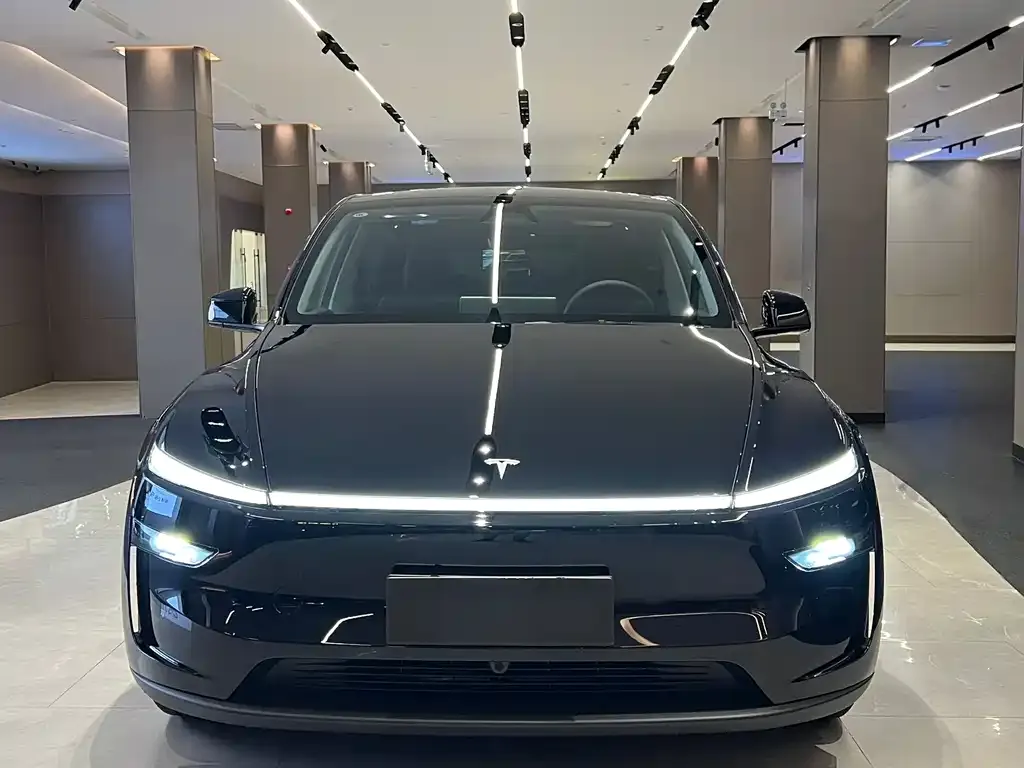 Tesla Model Y — фото 2