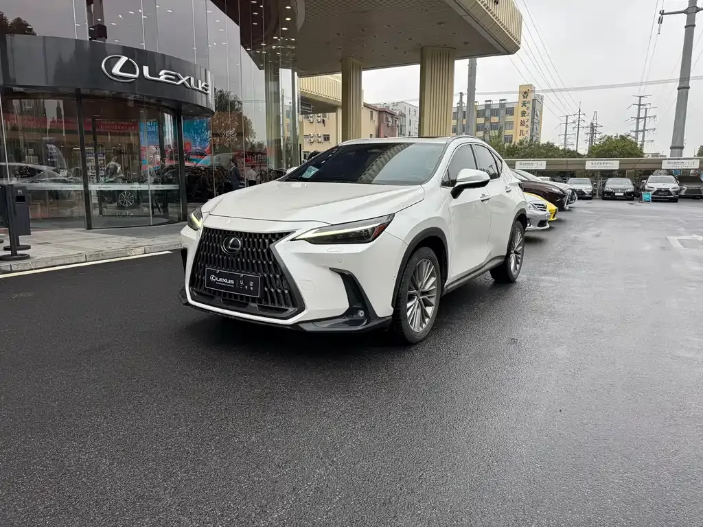 Lexus NX 2023 из CN, фото 1