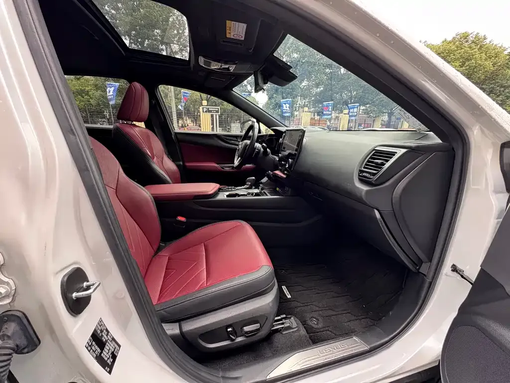 Lexus NX 2023 из CN, фото 10