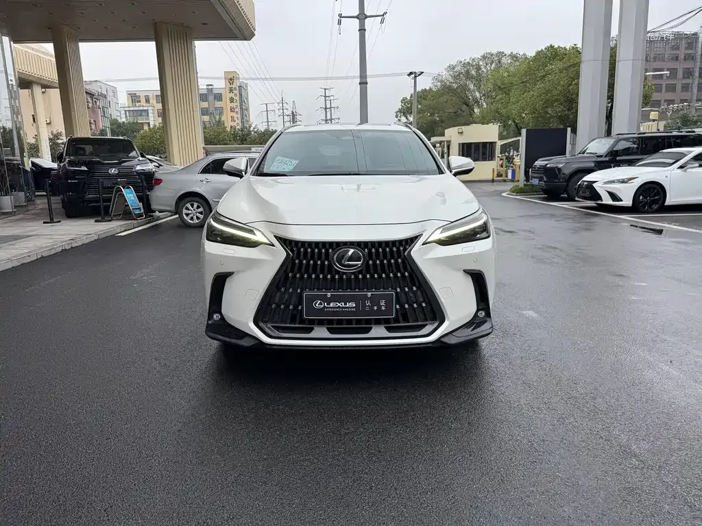 Lexus NX 2023 из CN, фото 2