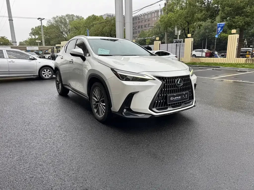 Lexus NX 2023 из CN, фото 3