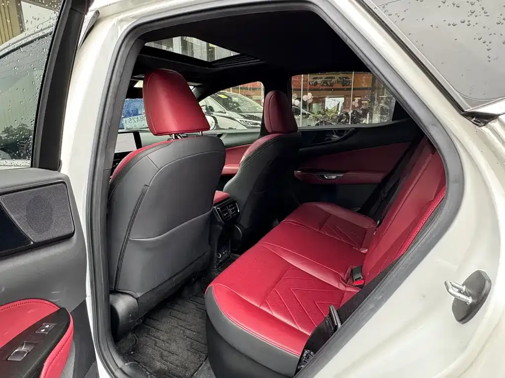 Lexus NX 2023 из CN, фото 5