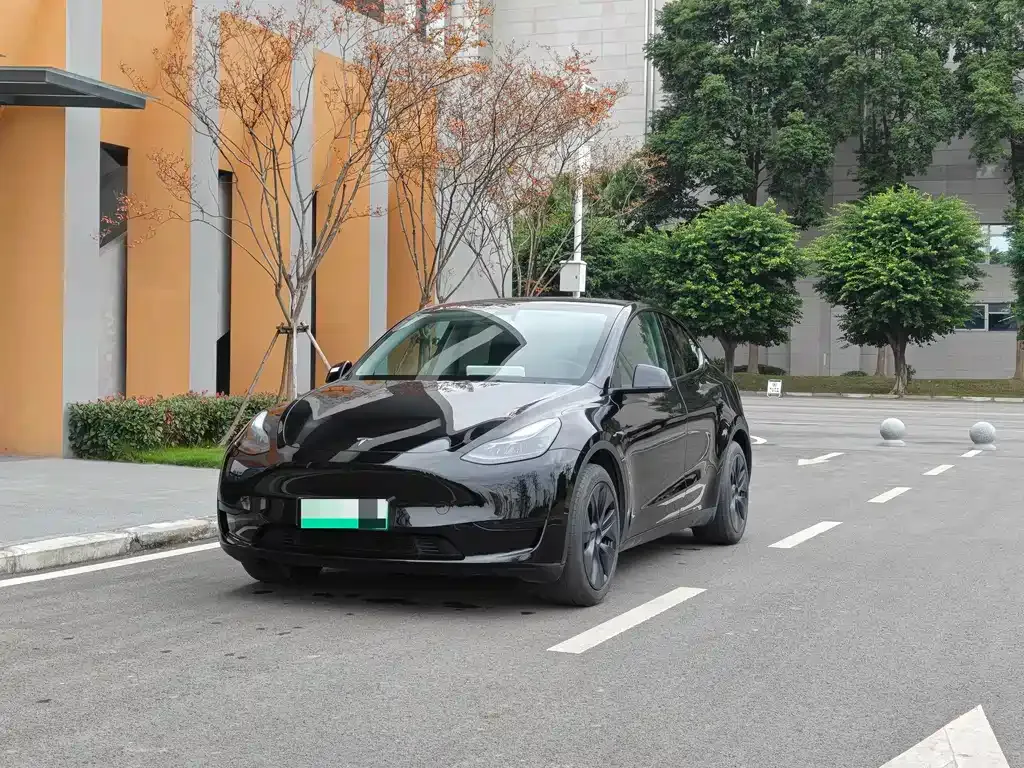 Tesla Model Y — фото 1