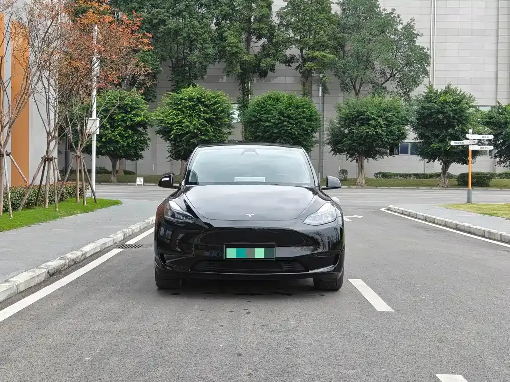 Tesla Model Y — фото 2