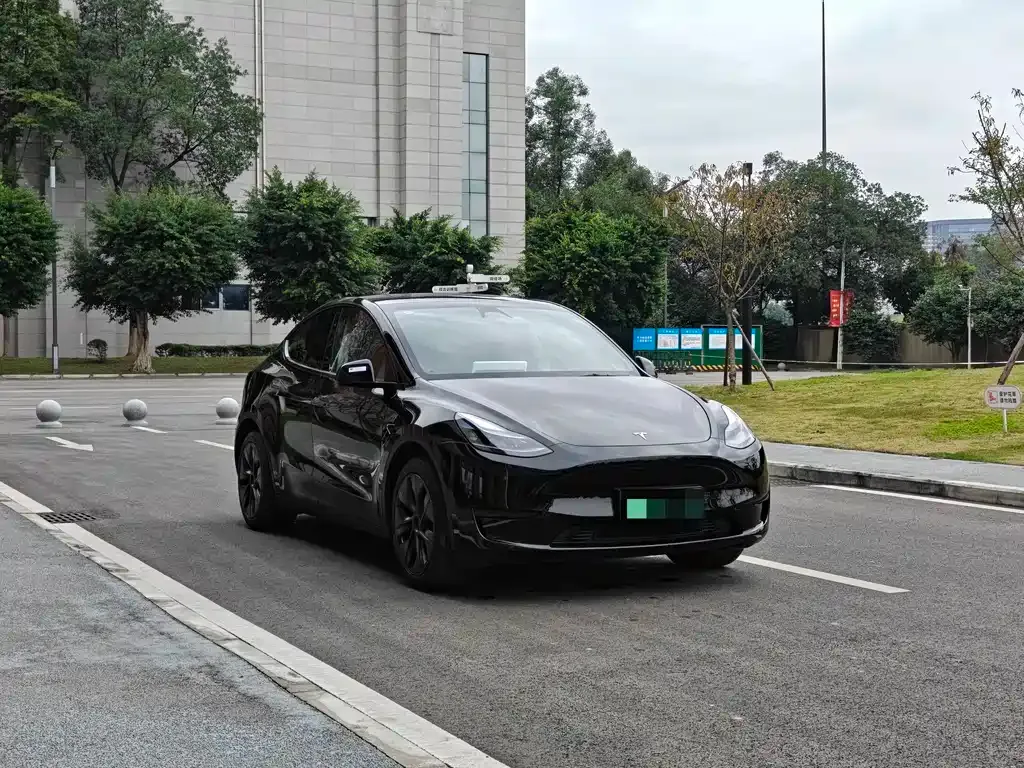Tesla Model Y — фото 3