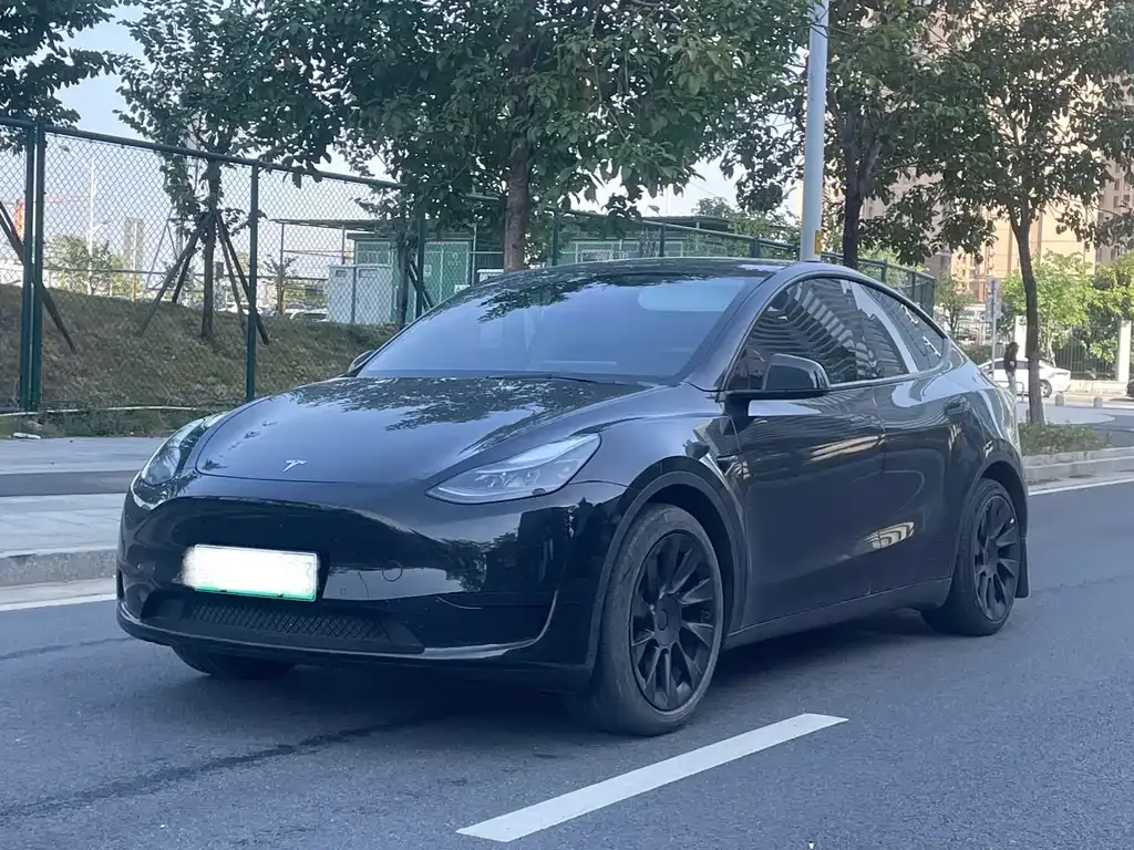 Tesla Model Y — фото 1