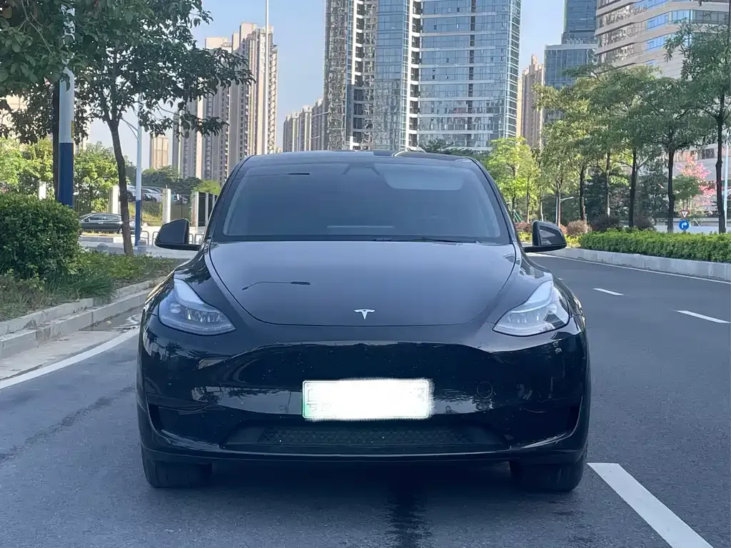 Tesla Model Y — фото 2