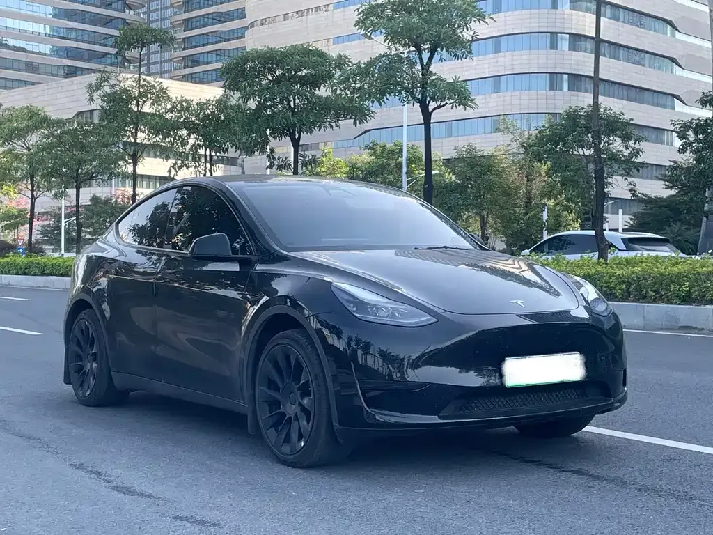 Tesla Model Y — фото 3