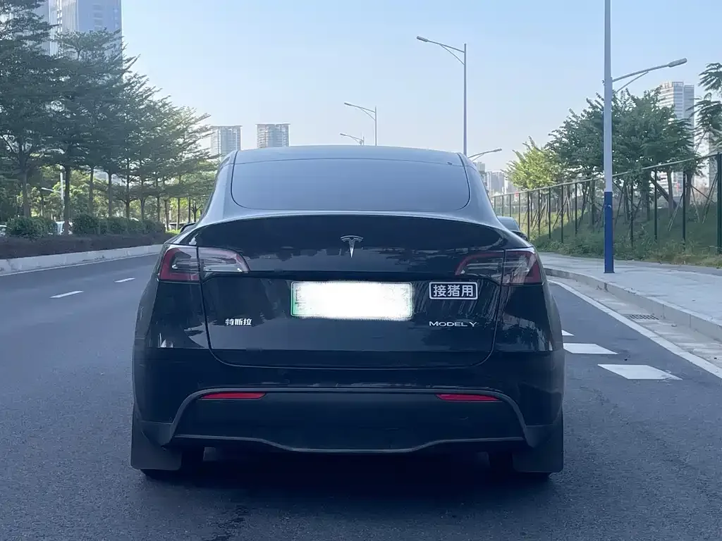 Tesla Model Y — фото 5