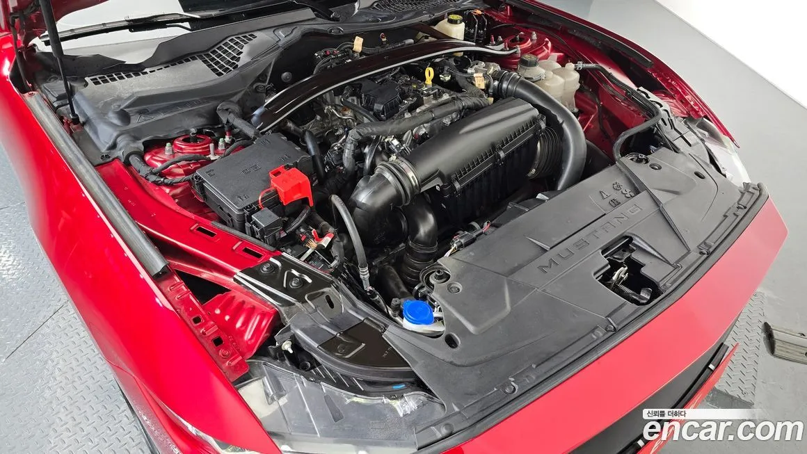 Ford Mustang 2024 из KR, фото 6