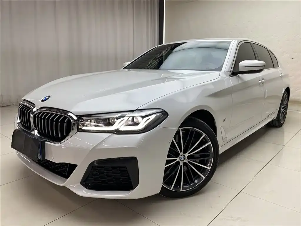 BMW 5 Series 2021 из CN, фото 1