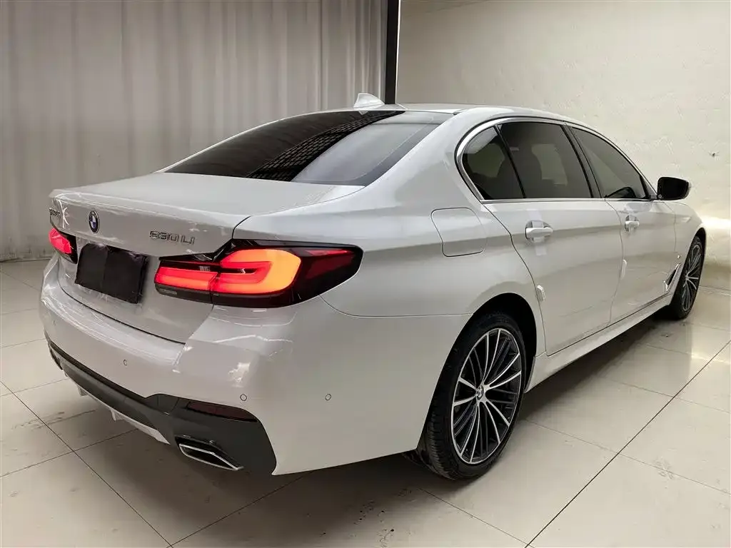 BMW 5 Series 2021 из CN, фото 10