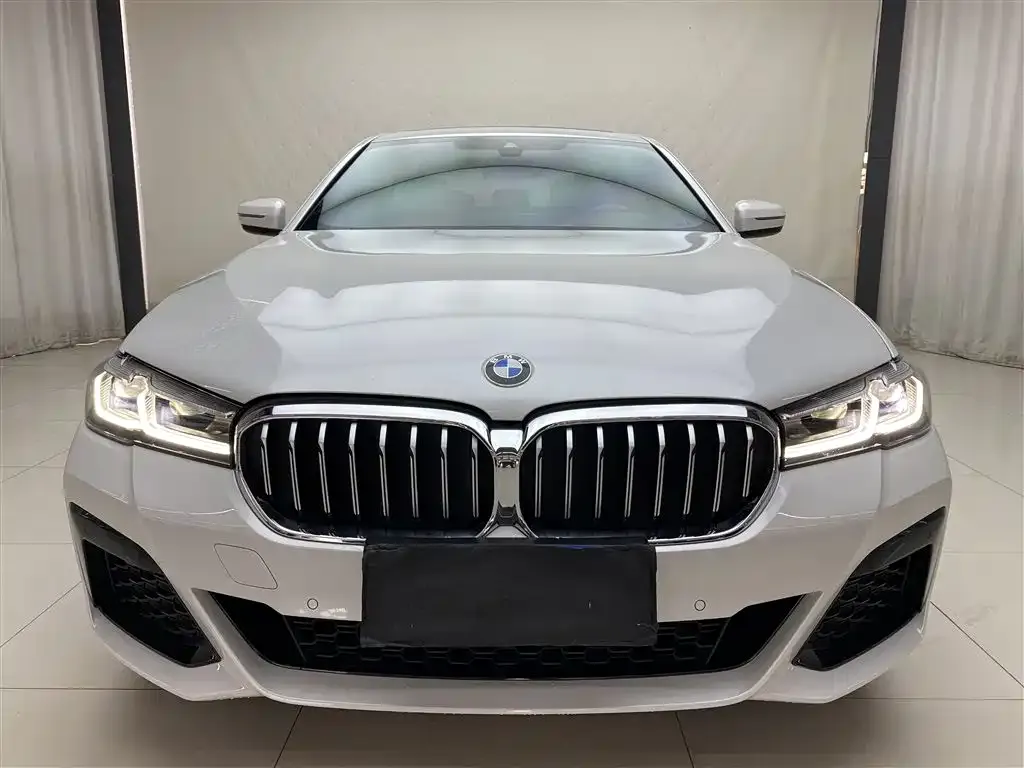 BMW 5 Series 2021 из CN, фото 6