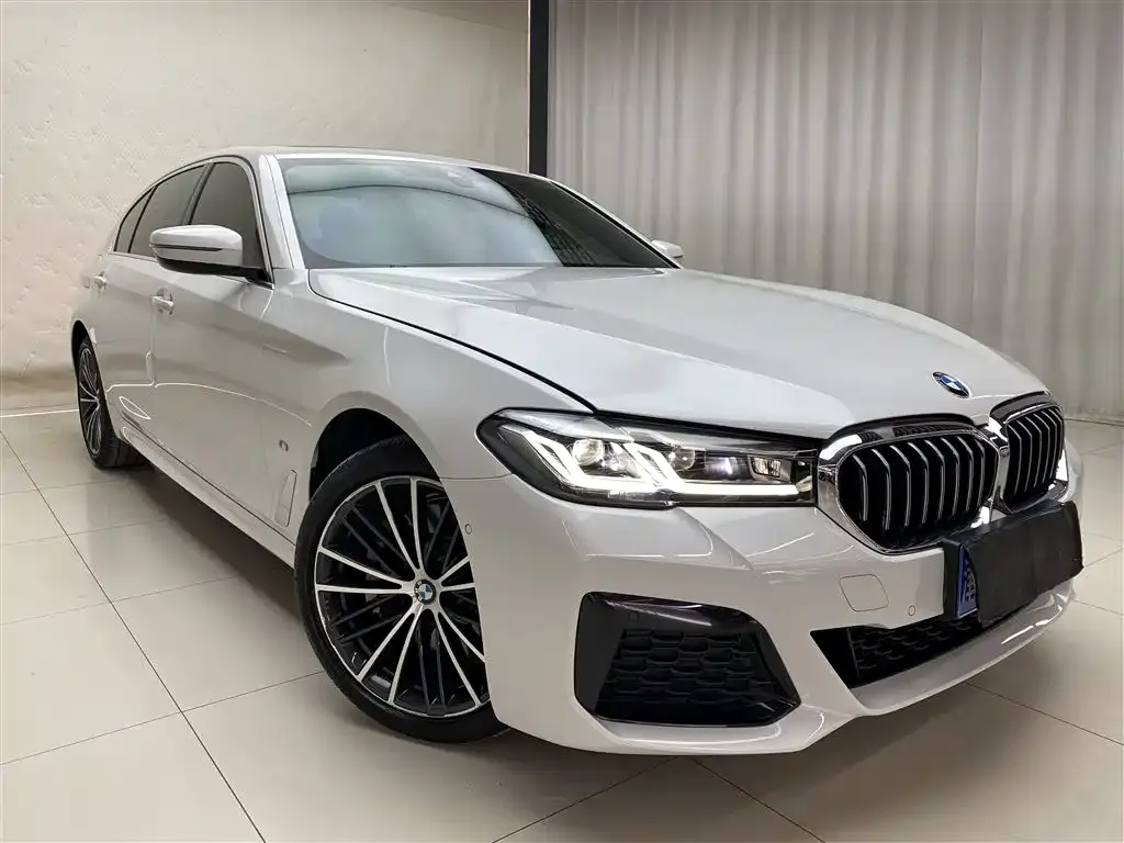 BMW 5 Series 2021 из CN, фото 7