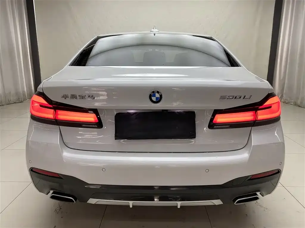 BMW 5 Series 2021 из CN, фото 9