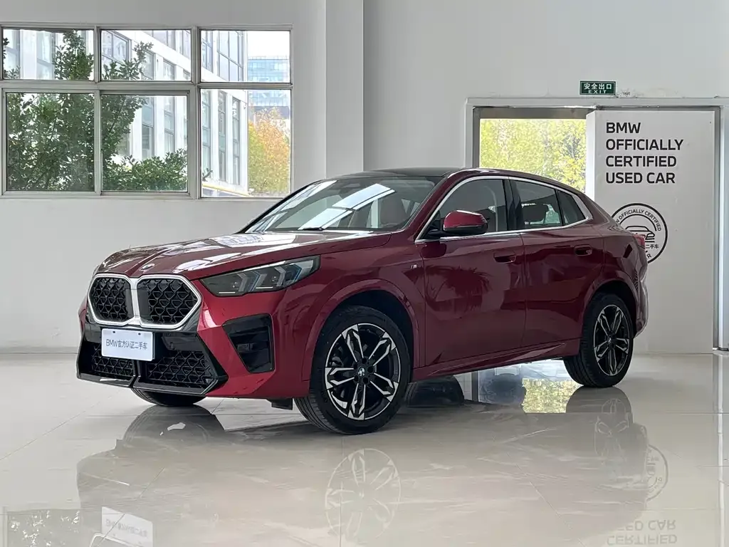 BMW X2 (Import) — фото 1