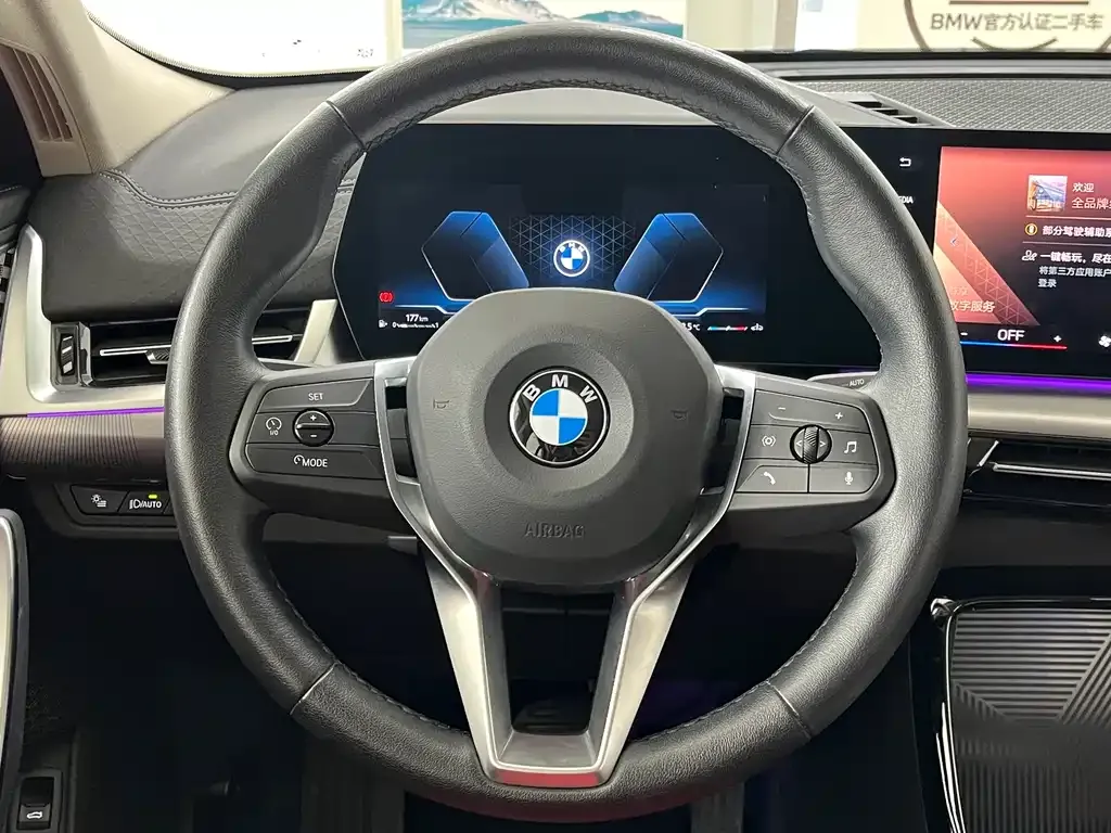 BMW X2 (Import) — фото 10