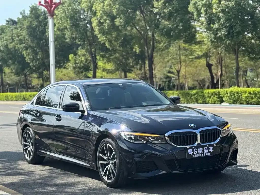 BMW 3 Series 2022 из CN, фото 3