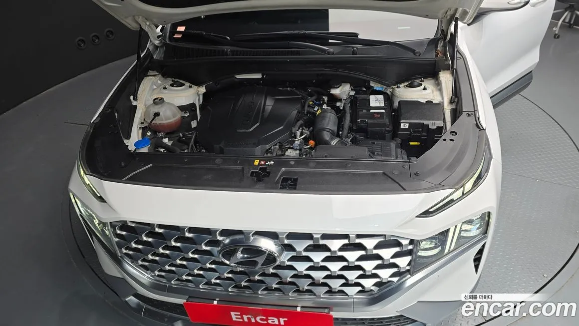 Hyundai Santafe 2021 из KR, фото 6