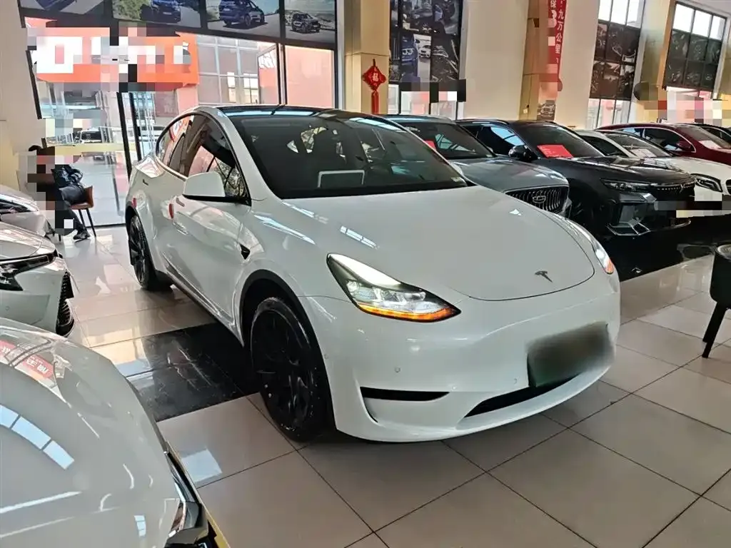 Tesla Model Y 2023 из CN, фото 4