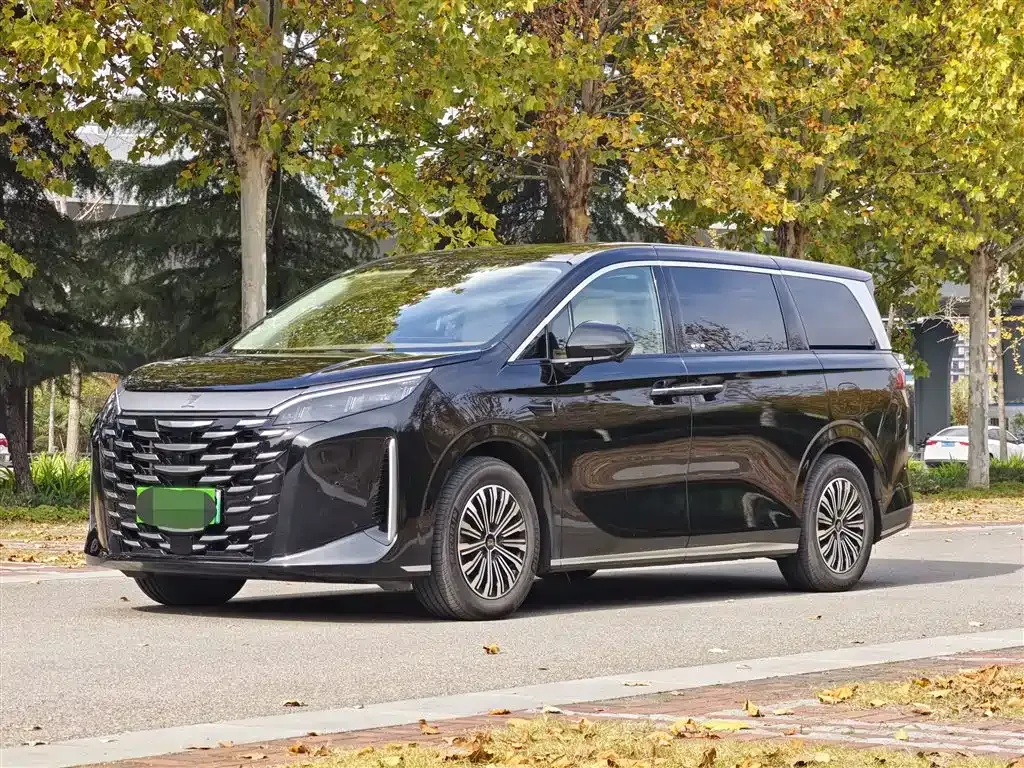 BYD Xia 2025 из CN, фото 1