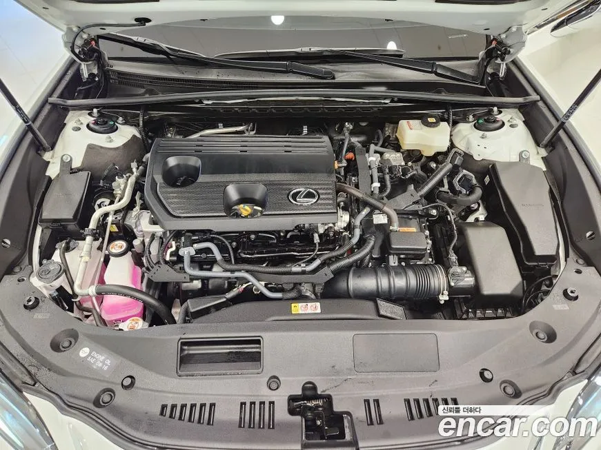 Lexus ES 2025 из KR, фото 8