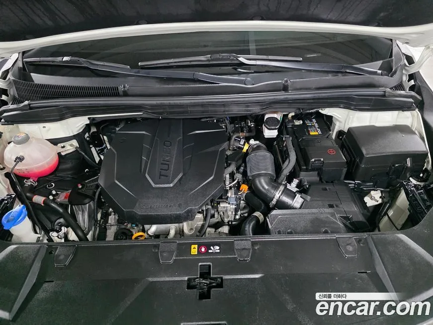 [object Object] Canival 2021 из KR, фото 5